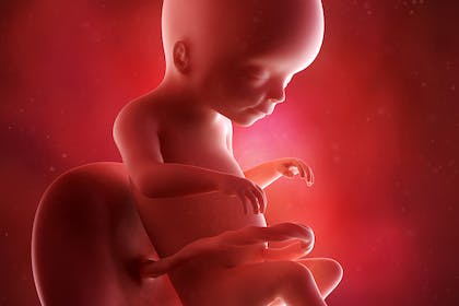 An image of a growing baby at 20 weeks pregnant