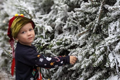 Horizontal picture of boy at Lapland UK with snowy trees